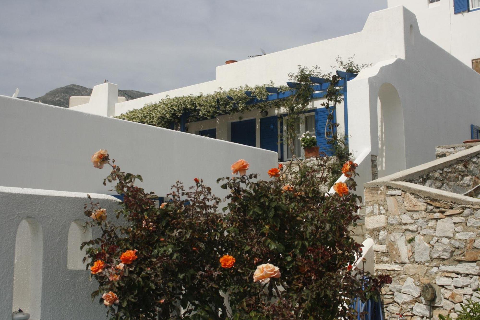 Flora'S Apartments Apollon  ภายนอก รูปภาพ